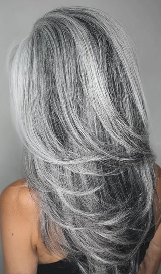 2 salt-pepper-platinum-silver-charcoal-highlights-long-layered-straight-2_pp