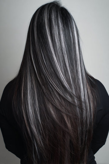 Dark Hair With Silver Highlights 15_pp