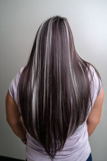 Dark Hair With Silver Highlights 18_pp