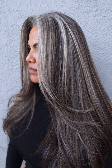 Dark Hair With Silver Highlights 1_pp