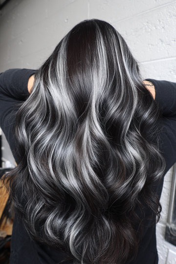 Dark Hair With Silver Highlights 4_pp