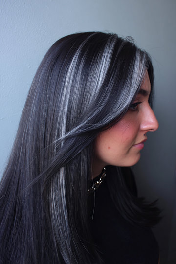 Dark Hair With Silver Highlights 6_pp
